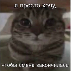 работа работа — стикер для MAX
