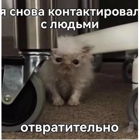 работа работа — стикер для MAX