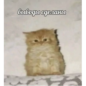 работа работа — стикер для MAX