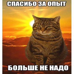 работа работа — стикер для MAX