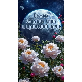 Светлана — стикер для MAX