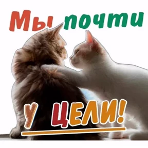 Лот — стикер для MAX