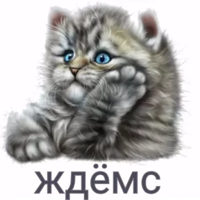 Лот — стикер для MAX