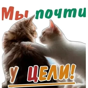 Лот — стикер для MAX