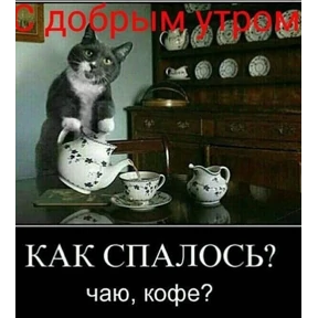 стики зески — стикер для MAX