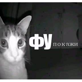 стики зески — стикер для MAX