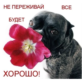 стики зески — стикер для MAX