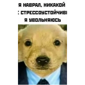 Рабочие муды — стикер для MAX