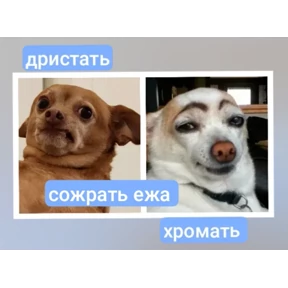 газ в пол — стикер для MAX
