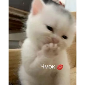 Стикер 26 из набора Заводовские
