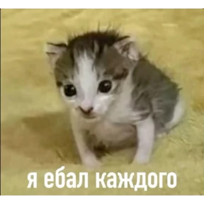 Мими — стикер для MAX