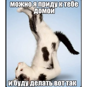 Мими — стикер для MAX