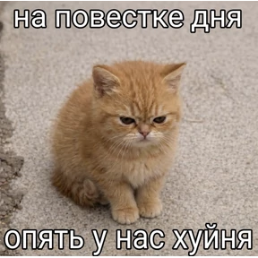 Пупупу — стикер для MAX