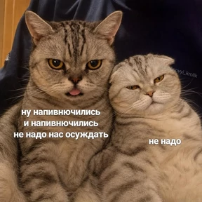 Котики — стикер для MAX