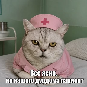 Котики — стикер для MAX