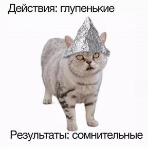 Котики — стикер для MAX
