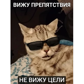 Котики — стикер для MAX