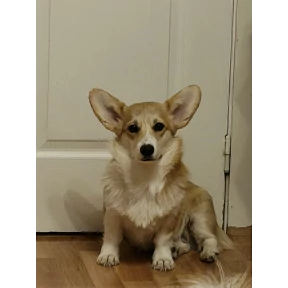 Мои — стикер для MAX