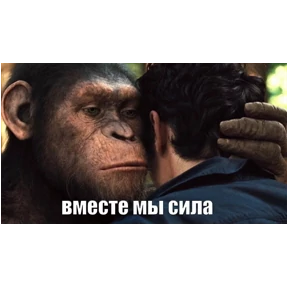 Пак — стикер для MAX