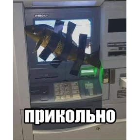 спороч кароч! — стикер для MAX
