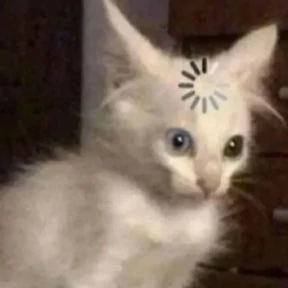Коты — стикер для MAX