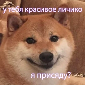 Мур — стикер для MAX