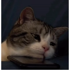 Пу пу пу — стикер для MAX