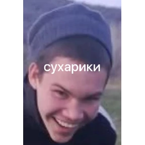 любвеобильный бревномет — стикер для MAX