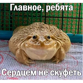 томатный макс — стикер для MAX