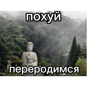 Стикер
