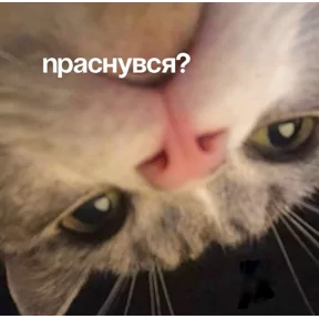 Стикер