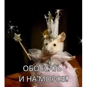 Гапонова — стикер для MAX