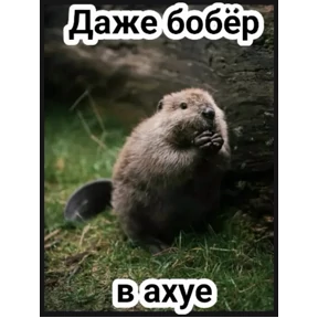 Стикерпак Свои для мессенджера MAX