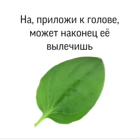 Ответочка — стикер для MAX