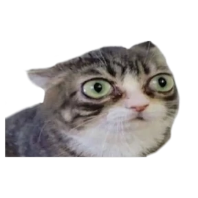 Котики — стикер для MAX