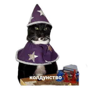 Котики — стикер для MAX