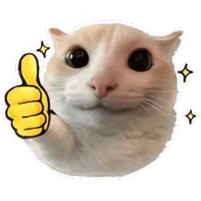 Стикер 24 из набора Goofy cat