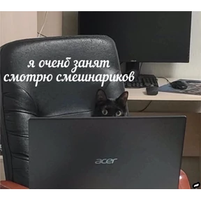 спороч кароч! — стикер для MAX