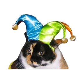 Котики — стикер для MAX