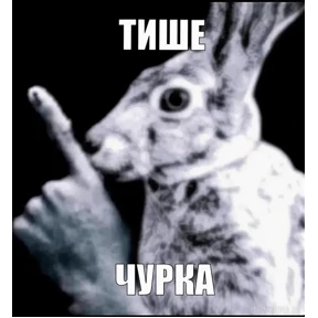 мда уж — стикер для MAX