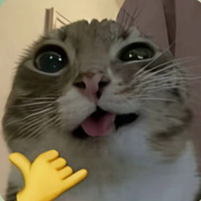 Коты — стикер для MAX