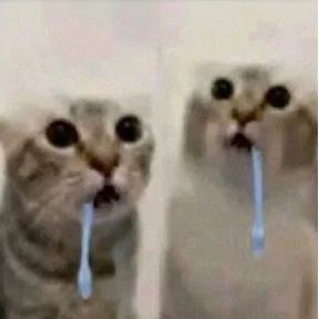 Коты — стикер для MAX