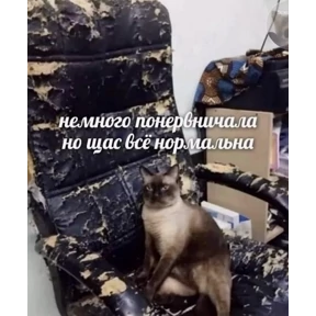 Смешнявки — стикер для MAX