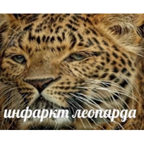 На случае важных переговоров — стикер для MAX