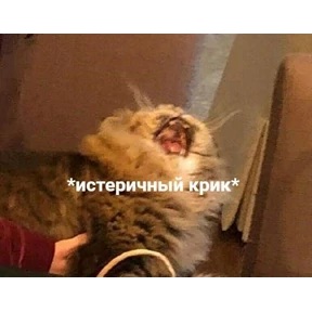 На случае важных переговоров — стикер для MAX
