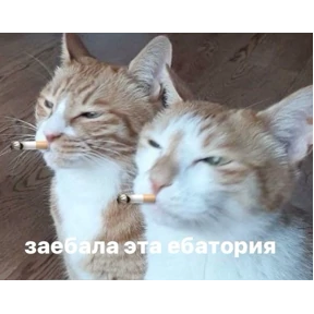 На случае важных переговоров — стикер для MAX
