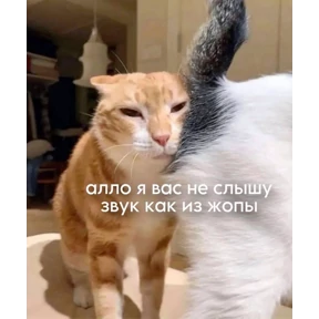 На случае важных переговоров — стикер для MAX