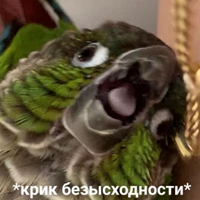 На случае важных переговоров — стикер для MAX