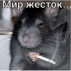 На случае важных переговоров — стикер для MAX