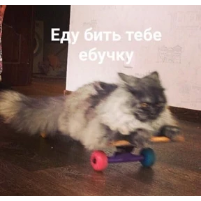 На случае важных переговоров — стикер для MAX